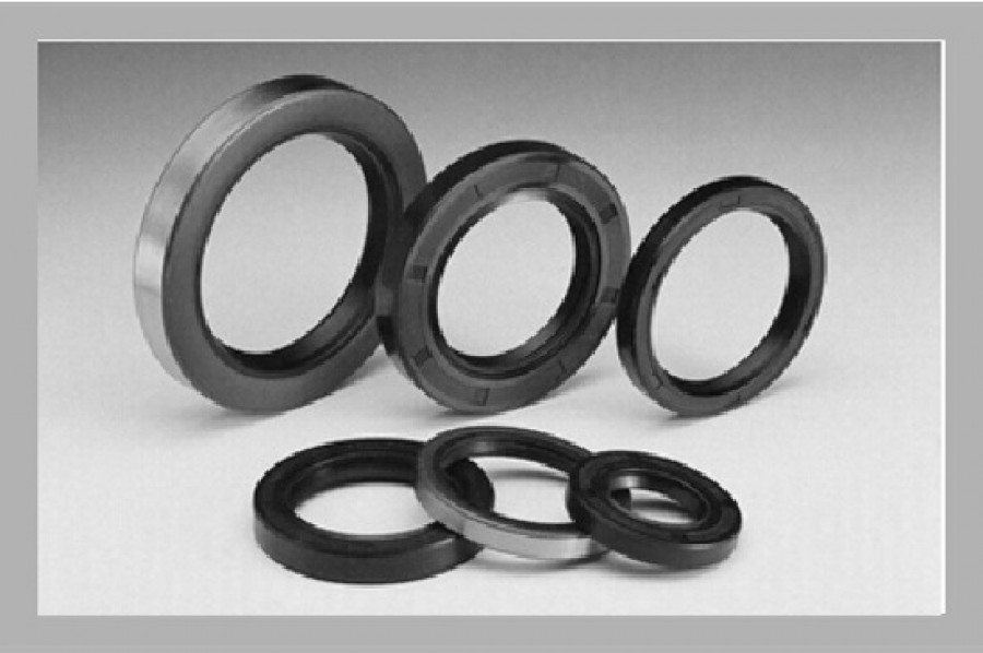 Şaft Keçesi (Lip Seal) Nedir? Tekne ve Yat Şaft Sızdırmazlığı Rehberi